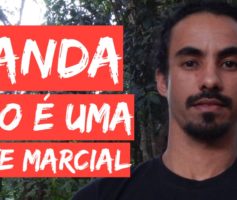 Sanda Não É Uma Arte Marcial